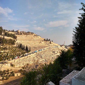 11_%e8%b0%83%e6%95%b4%e5%a4%a7%e5%b0%8f